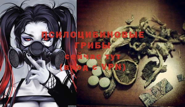 ешки Осинники