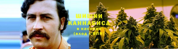 мдпв Осташков