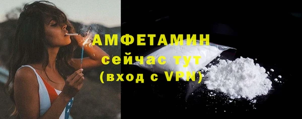 мдпв Осташков