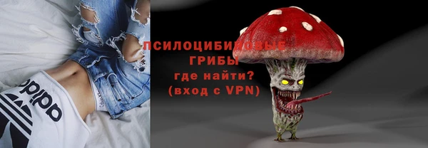 ешки Осинники