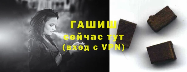 мдпв Осташков