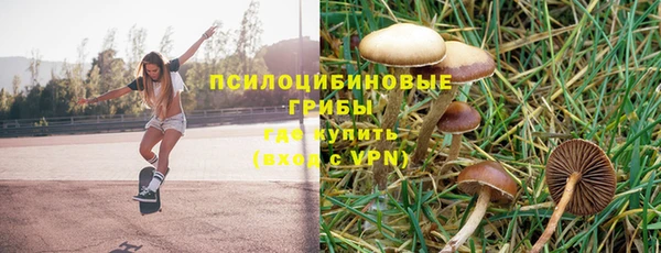 ешки Осинники