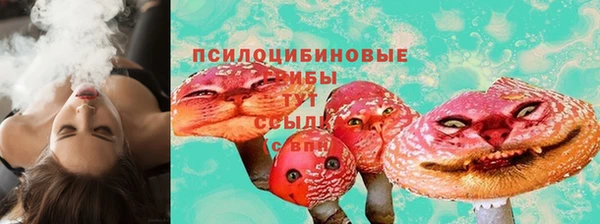 мдпв Осташков