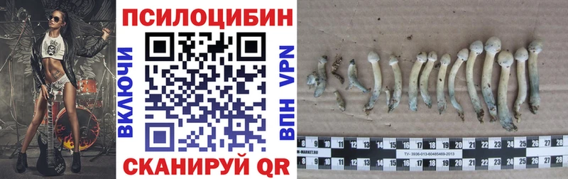Псилоцибиновые грибы мицелий  купить наркоту  Горячеводский 